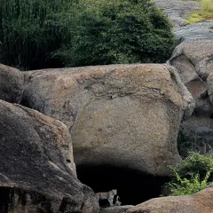 A wider view showing the leopard perfectly camouflaged within the massive rock formations of Jawai.