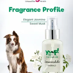 This Yuup! Emerald fragrance has an elegant profile of jasmine and sweet musk. It wraps your pet in a long-lasting, sophisticated scent, perfect for keeping them fresh between baths.