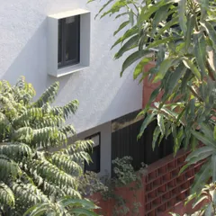 The interplay between the building and nature is central to our philosophy. Here, the clean architectural lines of the Jaipur House are softened by the surrounding greenery.