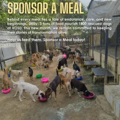 As a new month begins, our mission remains the same: keeping 1800 bowls full of hope. Your contribution helps us purchase the 3 tons of food needed every single day.