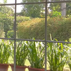 A glimpse of nature through a window. Even a small view of greenery can have a calming effect, and we design our window placements to maximize these connections to the outdoors.