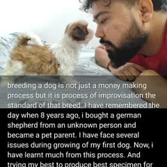My journey as a breeder started after a bad experience buying a dog. Now, I am dedicated to improving breed standards and providing healthy, genuine puppies so others don't face the same issues I did.