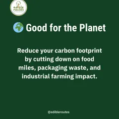 Growing your own food is good for the planet. It reduces your carbon footprint by cutting down on food miles, packaging waste, and the environmental impact of industrial farming.