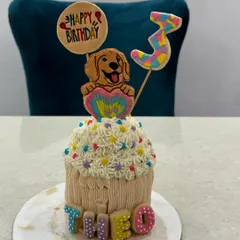 A different design for Theo, this one is a giant cupcake-shaped cake. It features a cookie portrait, his name, and his age.