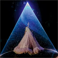This is a combination of two effects: a laser light spotlight and a snow machine. The result is a magical, winter-wonderland moment, perfect for a unique wedding entry or a themed party performance.