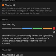 This workout was a threshold session, which is very demanding but significantly improves lactate threshold. The data shows I was "overreaching," a reminder that recovery is crucial after such a hard effort.