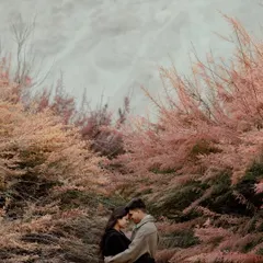 A romantic embrace amidst a field of colorful foliage in Ladakh. The unique pink and orange tones of the plants create a dreamy, almost surreal atmosphere for this intimate portrait.