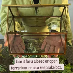 My geometric glass containers are multi-purpose. You can use them to create a stunning open or closed terrarium, or even use them as an elegant keepsake box for your treasures.