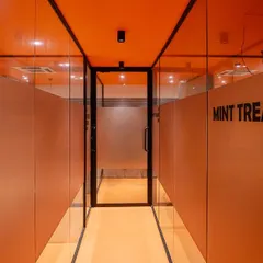 The 'Mint Treasury Room' corridor in a commercial space I consulted for. The design uses specific colors and directional flow to enhance the financial energy of the office.