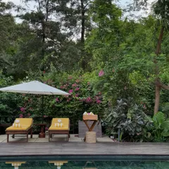 Our poolside is a sanctuary for the senses, especially during the monsoon when the greens are at their most vibrant.