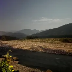 A river valley in the Jim Corbett region, seen under the soft light of the moon. The landscape takes on a quiet, mysterious quality at night.