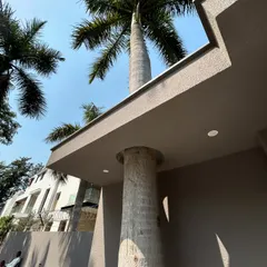 A view from below shows how the roof of the guard cabin at Gulmohar Farmhouse was carefully constructed around the trunk of a tall palm tree. This detail demonstrates our commitment to preserving the natural character of a site.