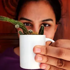 Who says you need a proper pot? This little peanut cactus is thriving in a tiny espresso mug, making for a cute and quirky windowsill decoration.