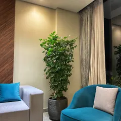 A tall, lush Ficus plant is a perfect choice to add height and greenery to a living room corner. It fits beautifully between the two sofas in this modern Gurgaon home, adding a natural touch to the elegant decor.