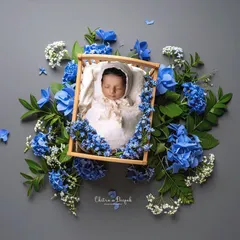 An artistic overhead shot of a sleeping newborn in a tiny wooden crib, surrounded by a bed of fresh blue and white flowers. This style of newborn photography creates a beautiful, fine-art feel.