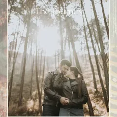 An intimate moment captured amidst the towering pines and misty sunlight of the mountains. This style is perfect for adventurous couples seeking a romantic, nature-filled pre-wedding session in a location like Himachal.