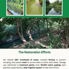 The Chakkarpur Wazirabad Bundh was once drowning in neglect. After clearing over 180 truckloads of waste and planting 20,000 native saplings, the drain now flows clean and the banks are green again.