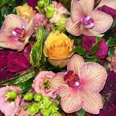 Jewel tones of burgundy, peach, orange, and pink thrill in this powerful colour palette. I give each flower, like these stunning Phalaenopsis orchids, its own space to shine bright.