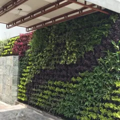 Another example of a dense and thriving vertical garden. The variety of plants creates a beautiful tapestry of colors and shapes, turning a simple wall into a dynamic natural feature.