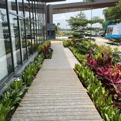 A pathway at a new development, lined with vibrant, colorful foliage, demonstrates how we use planting to define edges and create a pleasant pedestrian experience from day one.