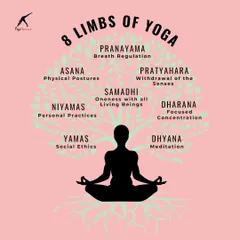Yoga is much more than just physical postures. This graphic explains the 8 Limbs of Yoga, which form the philosophical foundation of the practice, guiding us on a path that includes ethical principles, breath regulation (Pranayama), and meditation (Dhyana).