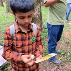 A young forager proudly holds a mushroom he found, comparing it to his identification card. These moments of personal discovery are what make our walks so rewarding.