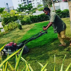 Regular lawn mowing is key to a healthy garden. Here, one of our gardeners is providing routine lawn care, ensuring the grass is kept at an optimal height for a neat and tidy appearance in a large residential garden.