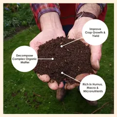 My Vermicompost is rich in humus and micronutrients. It helps decompose organic matter and improves crop growth and yield, making it a perfect addition to any soil mix.