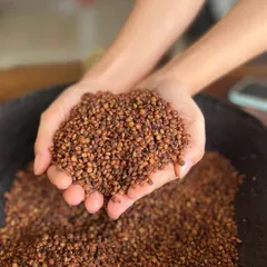 These are Sumac berries, a key ingredient in our cooking that adds a tangy, lemony flavor. Harvested wild in Nagaland, these berries are dried and powdered to be used in everything from marinades to traditional remedies.