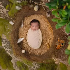 We create art with your little one as the masterpiece. This newborn is nestled safely in a rustic bird's nest prop, showcasing our nature-inspired theme that results in breathtaking, timeless portraits.