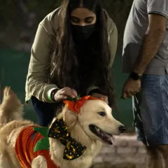 A pet parent putting the finishing touches on her Golden Retriever's adorable pumpkin costume. Getting dressed up is a huge part of the fun at our Halloween events.