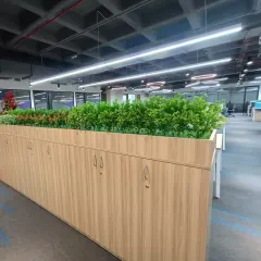 For this office project, I installed built-in planters on top of storage cabinets. This brings the benefits of nature into the workplace without sacrificing utility.