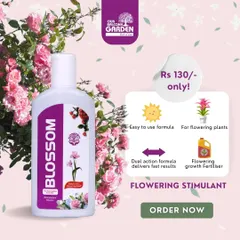 Seeing no blooms in your garden? Our Blossom flowering stimulant can help. This easy-to-use, dual-action formula delivers fast results for all your flowering plants, encouraging beautiful blossoms.