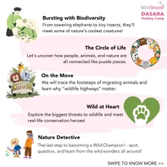 A look at the curriculum for our Wild Shaale Dasara Holiday Camp. Kids aged 9-12 can become "Nature Detectives," learning about biodiversity, the circle of life, and real-life conservation heroes.