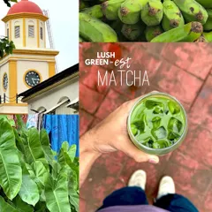 Life's been looking a little leafy lately. This collage is a celebration of all things green, from a glass of matcha and raw bananas to the lush foliage of the city.
