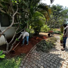 A work-in-progress shot from a landscape project in Alibaug. This shows the careful process of shaping the earth and preparing the ground for planting, a crucial step in creating the lush, natural environments that complement my architectural designs.