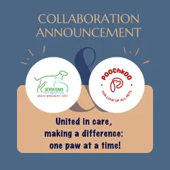 We are excited to announce our partnership with Seven Oaks Pet Hospital in Hyderabad. By collaborating with experienced veterinarians, we are expanding our ability to provide comprehensive care and support to more animals in need.