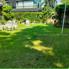 Another angle of this beautiful backyard, showing how the expansive lawn connects the home to the surrounding greenery. Our professional lawn care services keep it looking immaculate year-round.