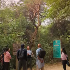 An instructor guides a small group at the start of a forest walk. The session begins with an introduction to the principles of mindful connection with nature.