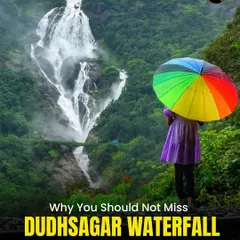 Ever seen a waterfall so massive it's called the "Sea of Milk"? This is the Dudhsagar waterfall during peak monsoon, a sight you have to see to believe. It's one of our most epic weekend treks.