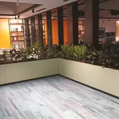 I design and install large, integrated planters that become part of the office architecture. This corner planter installation defines the space and is filled with a variety of indoor plants that create a dense, garden-like feel inside the building.