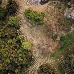 This drone shot shows the intricate pattern of our bamboo mock-up, laid out to trace the footprint of a future building among the trees. This process allows us to site the architecture with minimal disruption to the existing landscape.