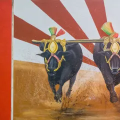 A close-up of the charging buffaloes from our Kambala mural. We focus on details like the decorative harnesses and the splash of the muddy water to convey authenticity and action.