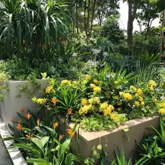 A lush, multi-layered garden bed I designed. It features a mix of textures and colors, from the bright yellow flowers in the foreground to the tall, spiky palms in the back, creating a dense, tropical feel.