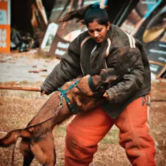 Suited up and working with Janet, a Belgian Malinois with incredible fire. As a decoy, my job is to safely absorb the pressure and teach the dog to engage confidently and correctly.
