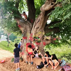 Taking a break under a large tamarind tree after a morning of harvesting clay. These moments of rest and camaraderie are as important as the work itself.