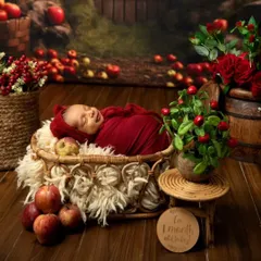 Celebrating one month with a sweet apple-themed photoshoot. This little one is all smiles, nestled in a basket surrounded by fresh apples and red flowers.