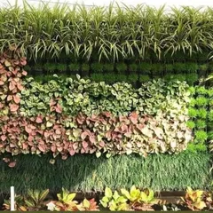 A close-up of a vertical garden panel showing a pattern created with different types of plants. I use a mix of foliage with varied colors and textures, like Iresine and Asparagus Fern, to create a living piece of art.