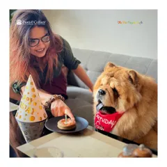 Every milestone deserves a celebration. We specialize in creating unforgettable birthday parties for your pets, complete with vet-approved pup-cakes and a festive atmosphere, making their special day truly magical.