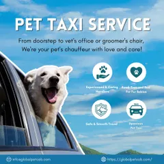 Our local pet taxi service is designed for your peace of mind and your pet's comfort. We provide experienced handlers, spacious and safe vehicles, and all the essentials like food and toys to make short trips for vet visits or grooming completely stress-free.
